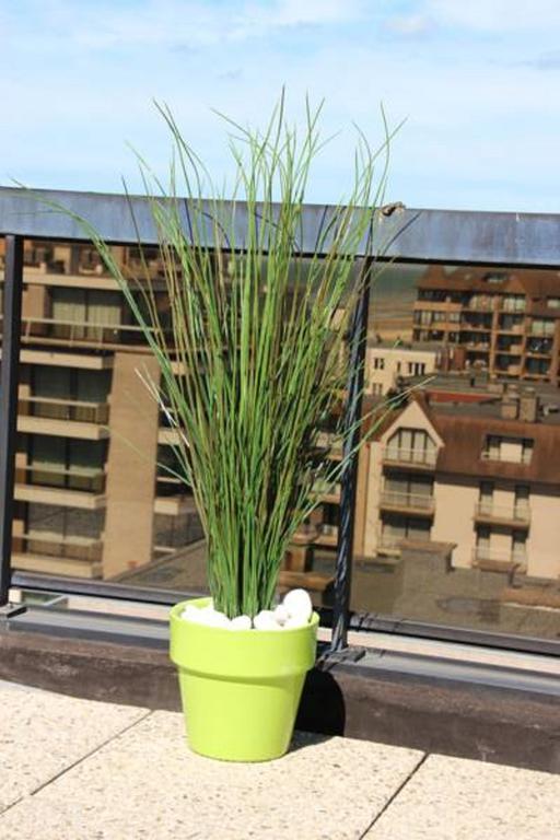 デ パンネDuplex Penthouse Plazaアパートメント 部屋 写真